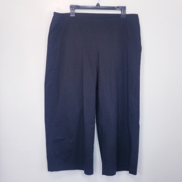🌸 Eileen Fisher | Nylon Wide Leg Crop Pants, L - Picture 2 of 11